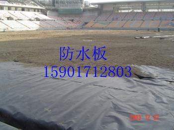 針刺地毯 匠心工藝與現(xiàn)代科技的完美結(jié)合